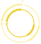 A bird.